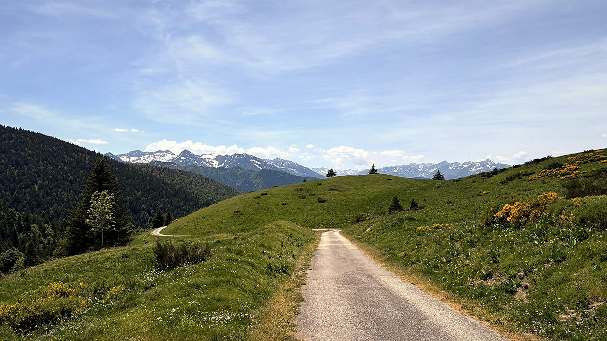 A single-lane road running over open grassy hills at the Col du Pradel